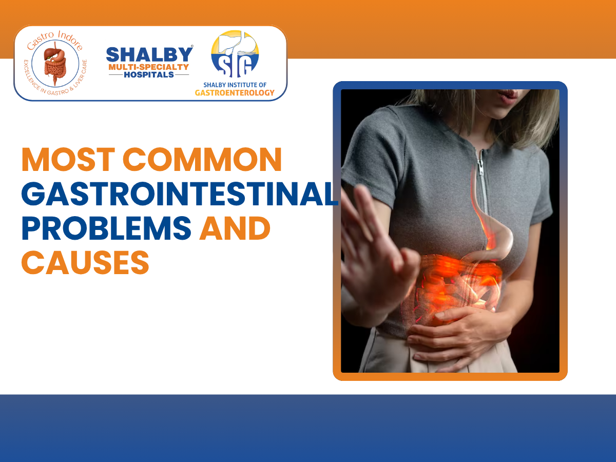 Illustration of common gastrointestinal problems including acid reflux, gastritis, IBS, ulcers, constipation, and digestive disorders.